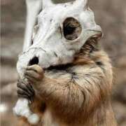 ヒメ日記 2025/06/05 05:17 投稿 金井 桃李（とうり）