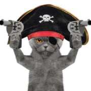 ヒメ日記 2025/06/09 10:54 投稿 金井 桃李（とうり）