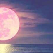 ヒメ日記 2025/06/11 00:34 投稿 金井 桃李（とうり）