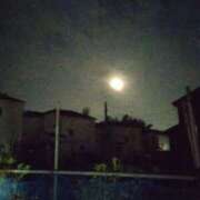 ヒメ日記 2025/06/12 02:44 投稿 金井 桃李（とうり）