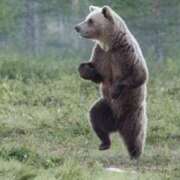 ヒメ日記 2025/06/12 21:24 投稿 金井 桃李（とうり）