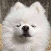 ヒメ日記 2025/06/14 04:24 投稿 金井 桃李（とうり）