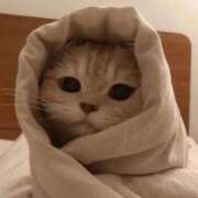 ヒメ日記 2025/06/15 05:14 投稿 金井 桃李（とうり）