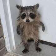 ヒメ日記 2025/06/15 06:34 投稿 金井 桃李（とうり）