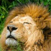 ヒメ日記 2025/06/16 01:14 投稿 金井 桃李（とうり）