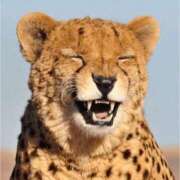 ヒメ日記 2025/06/17 03:04 投稿 金井 桃李（とうり）