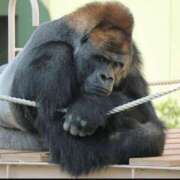 ヒメ日記 2025/06/18 18:14 投稿 金井 桃李（とうり）