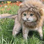 ヒメ日記 2025/06/19 01:14 投稿 金井 桃李（とうり）