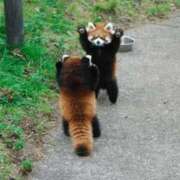 ヒメ日記 2025/06/20 20:57 投稿 金井 桃李（とうり）