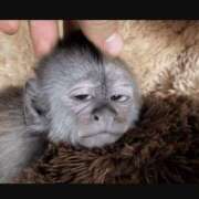 ヒメ日記 2025/06/21 01:24 投稿 金井 桃李（とうり）