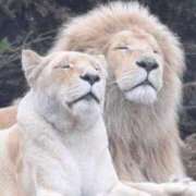 ヒメ日記 2025/06/21 21:24 投稿 金井 桃李（とうり）