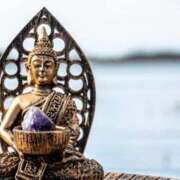 ヒメ日記 2025/06/22 18:24 投稿 金井 桃李（とうり）