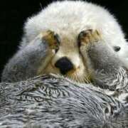 ヒメ日記 2025/06/24 19:17 投稿 金井 桃李（とうり）