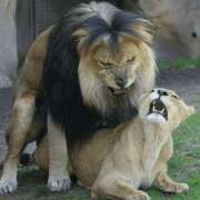 ヒメ日記 2025/06/25 16:14 投稿 金井 桃李（とうり）