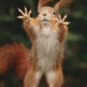 ヒメ日記 2025/06/26 13:44 投稿 金井 桃李（とうり）