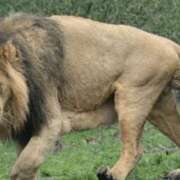 ヒメ日記 2025/06/28 04:30 投稿 金井 桃李（とうり）