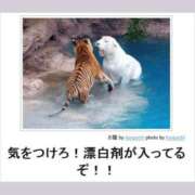 ヒメ日記 2025/06/29 01:24 投稿 金井 桃李（とうり）