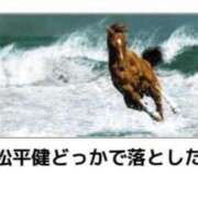 ヒメ日記 2025/06/29 01:44 投稿 金井 桃李（とうり）