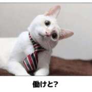 ヒメ日記 2025/07/02 06:41 投稿 金井 桃李（とうり）