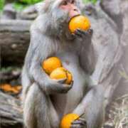 ヒメ日記 2025/07/02 12:06 投稿 金井 桃李（とうり）