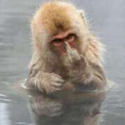 ヒメ日記 2025/07/04 15:28 投稿 金井 桃李（とうり）