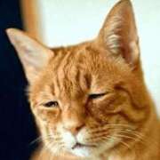 ヒメ日記 2025/07/08 14:17 投稿 金井 桃李（とうり）