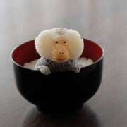 ヒメ日記 2025/07/08 17:24 投稿 金井 桃李（とうり）