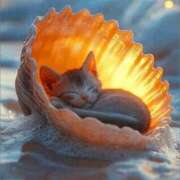 ヒメ日記 2025/07/18 07:34 投稿 金井 桃李（とうり）