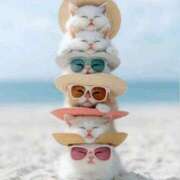 ヒメ日記 2025/07/19 13:18 投稿 金井 桃李（とうり）