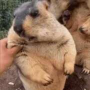 ヒメ日記 2025/07/20 10:17 投稿 金井 桃李（とうり）