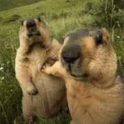 ヒメ日記 2025/07/26 15:04 投稿 金井 桃李（とうり）