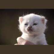 ヒメ日記 2025/07/26 19:53 投稿 金井 桃李（とうり）