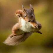 ヒメ日記 2025/07/26 22:04 投稿 金井 桃李（とうり）