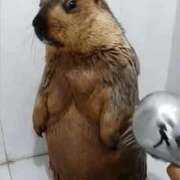 ヒメ日記 2025/07/27 07:24 投稿 金井 桃李（とうり）