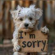 ヒメ日記 2025/07/27 07:54 投稿 金井 桃李（とうり）