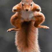 ヒメ日記 2025/07/28 02:34 投稿 金井 桃李（とうり）