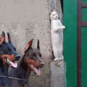 ヒメ日記 2025/08/07 03:54 投稿 金井 桃李（とうり）