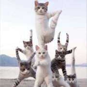 ヒメ日記 2025/08/07 06:04 投稿 金井 桃李（とうり）