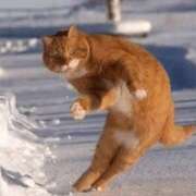 ヒメ日記 2025/08/08 01:14 投稿 金井 桃李（とうり）