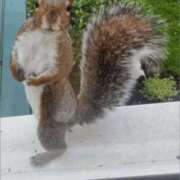 ヒメ日記 2025/08/08 14:48 投稿 金井 桃李（とうり）