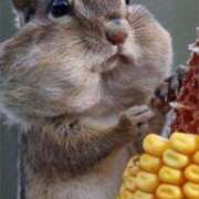 ヒメ日記 2025/08/08 20:54 投稿 金井 桃李（とうり）