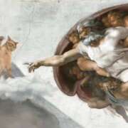 ヒメ日記 2025/08/08 21:08 投稿 金井 桃李（とうり）