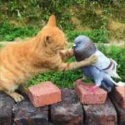 ヒメ日記 2025/08/09 04:14 投稿 金井 桃李（とうり）