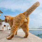 ヒメ日記 2025/08/10 10:06 投稿 金井 桃李（とうり）