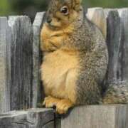 ヒメ日記 2025/08/11 00:54 投稿 金井 桃李（とうり）