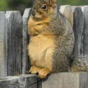 ヒメ日記 2025/08/11 15:34 投稿 金井 桃李（とうり）