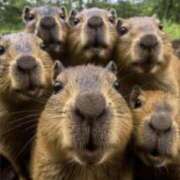 ヒメ日記 2025/08/12 07:15 投稿 金井 桃李（とうり）