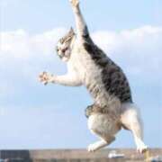 ヒメ日記 2025/08/14 03:54 投稿 金井 桃李（とうり）