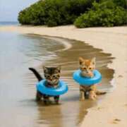 ヒメ日記 2025/08/14 04:14 投稿 金井 桃李（とうり）