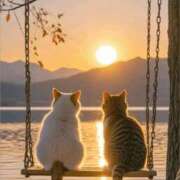 ヒメ日記 2025/08/15 01:34 投稿 金井 桃李（とうり）